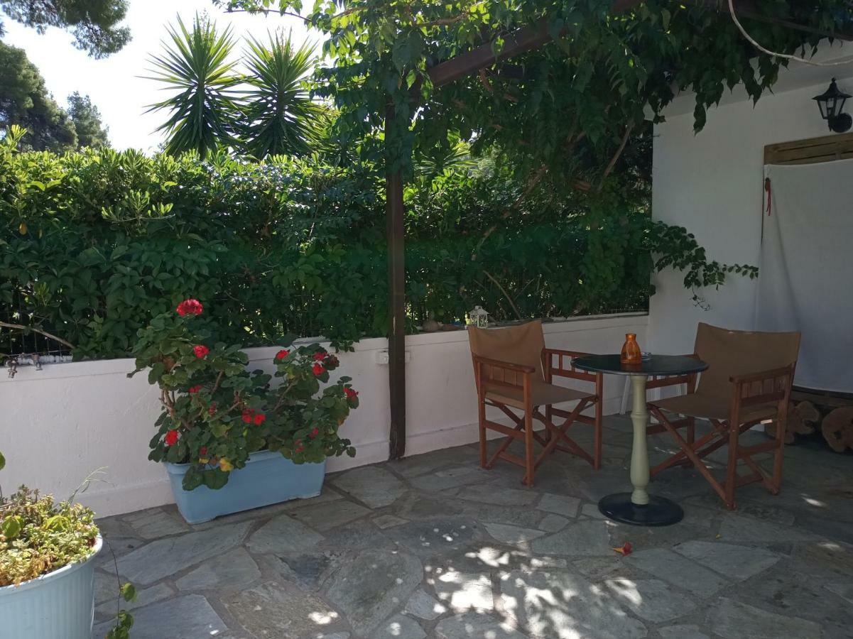 Stamatia's Garden * Αγνώντας