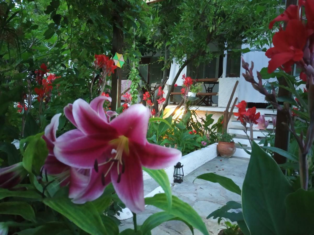 Πανσιόν Stamatia's Garden Αγνώντας