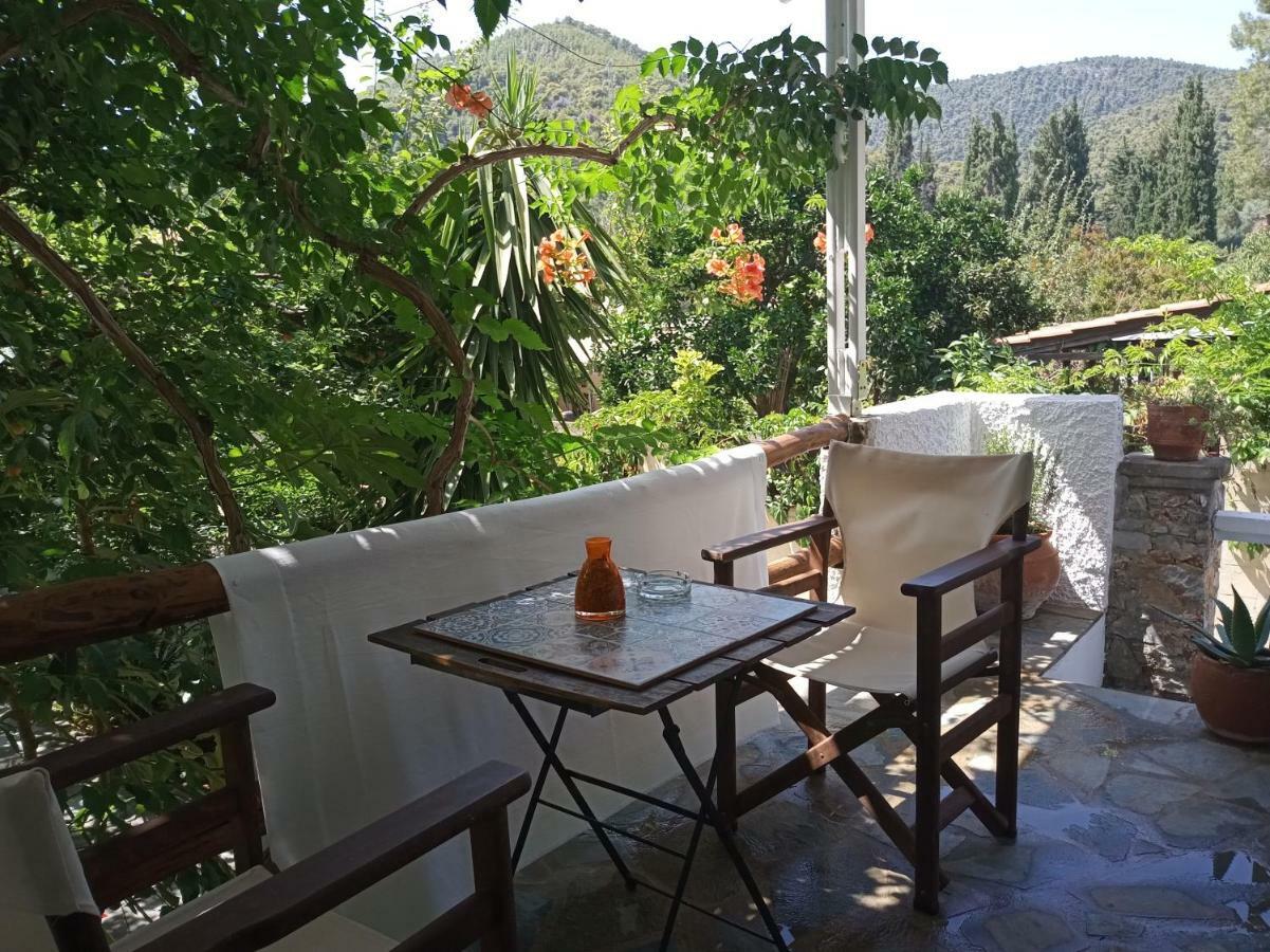Πανσιόν Stamatia's Garden *