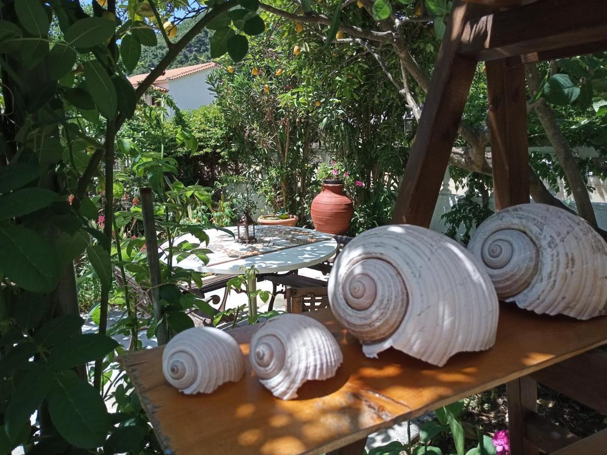 Stamatia's Garden Guest house Agnontas