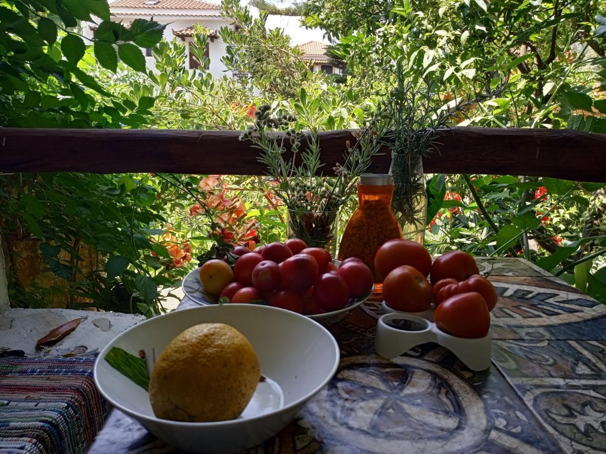 Stamatia's Garden Guest house Agnontas