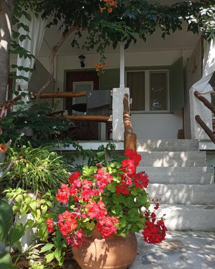 Stamatia's Garden * Αγνώντας